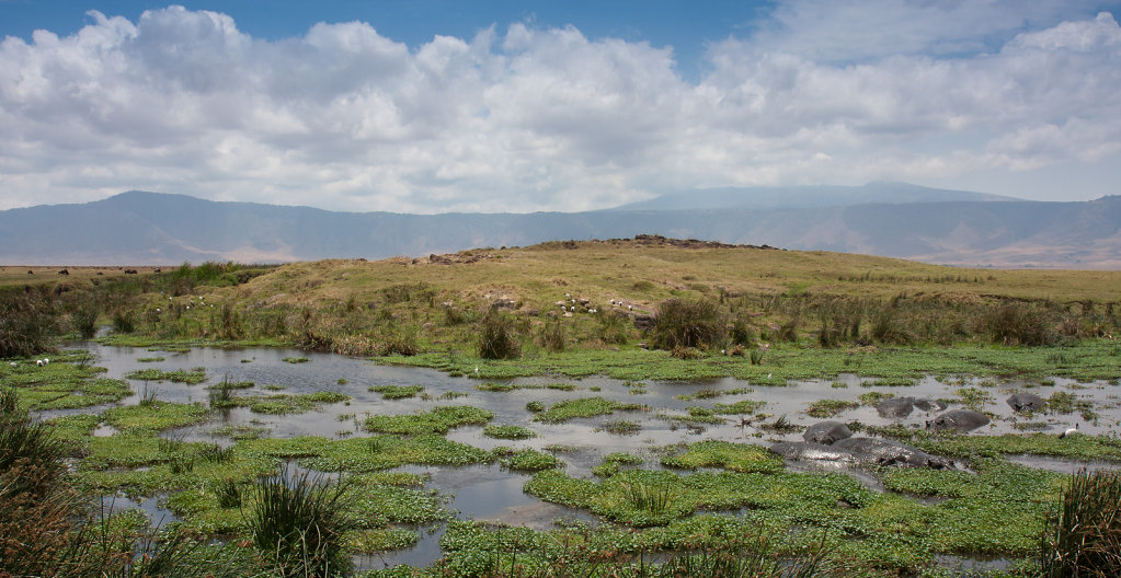 2010-10-TANZANIE-1052.jpg