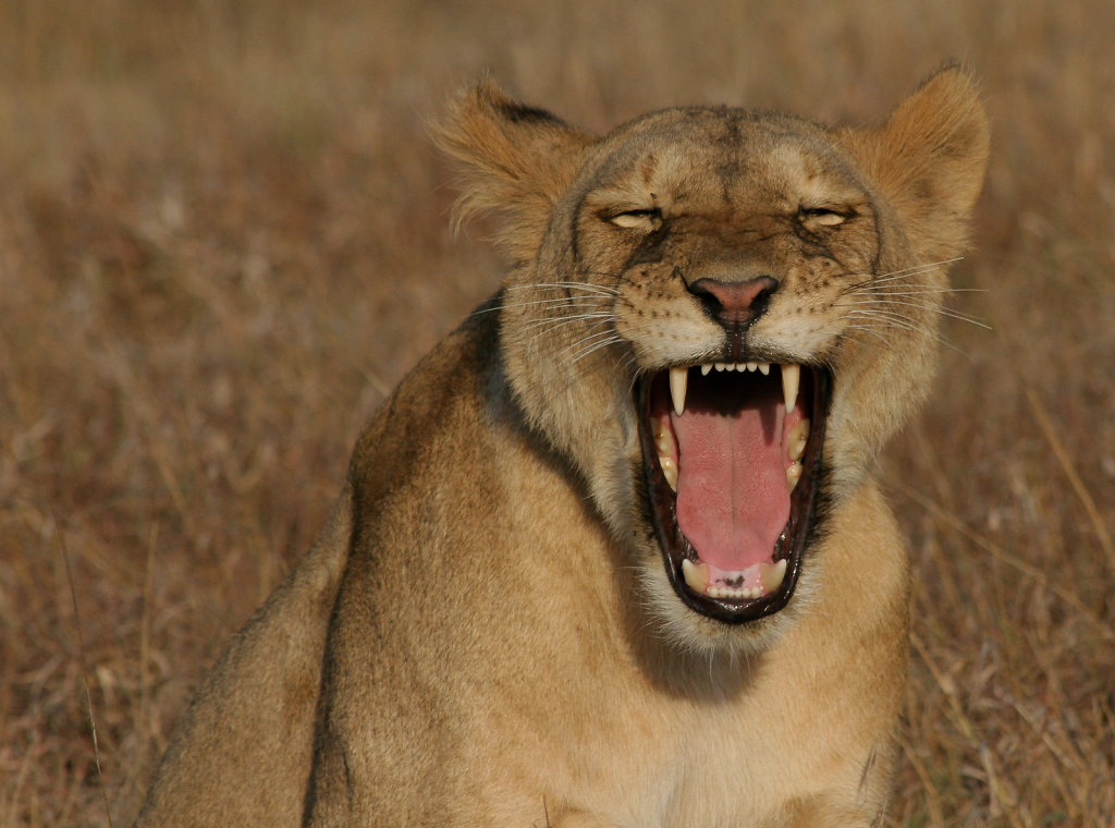 Kenya-8482.jpg