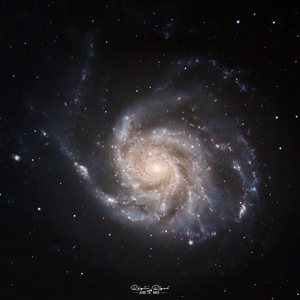 M101-C9-1645mm-L-PRO-v2.jpg