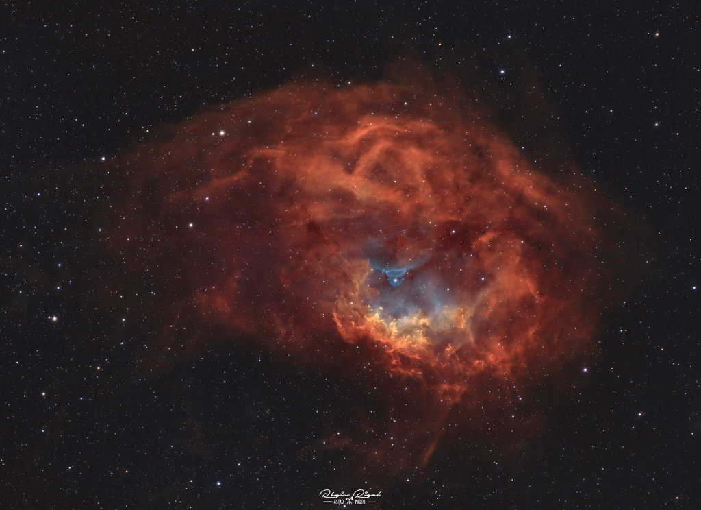 nP-rs8InKQ23-16536x0-ieTZ0INm.jpg